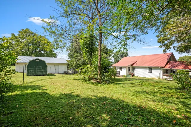 a yellow house in middle of the forest