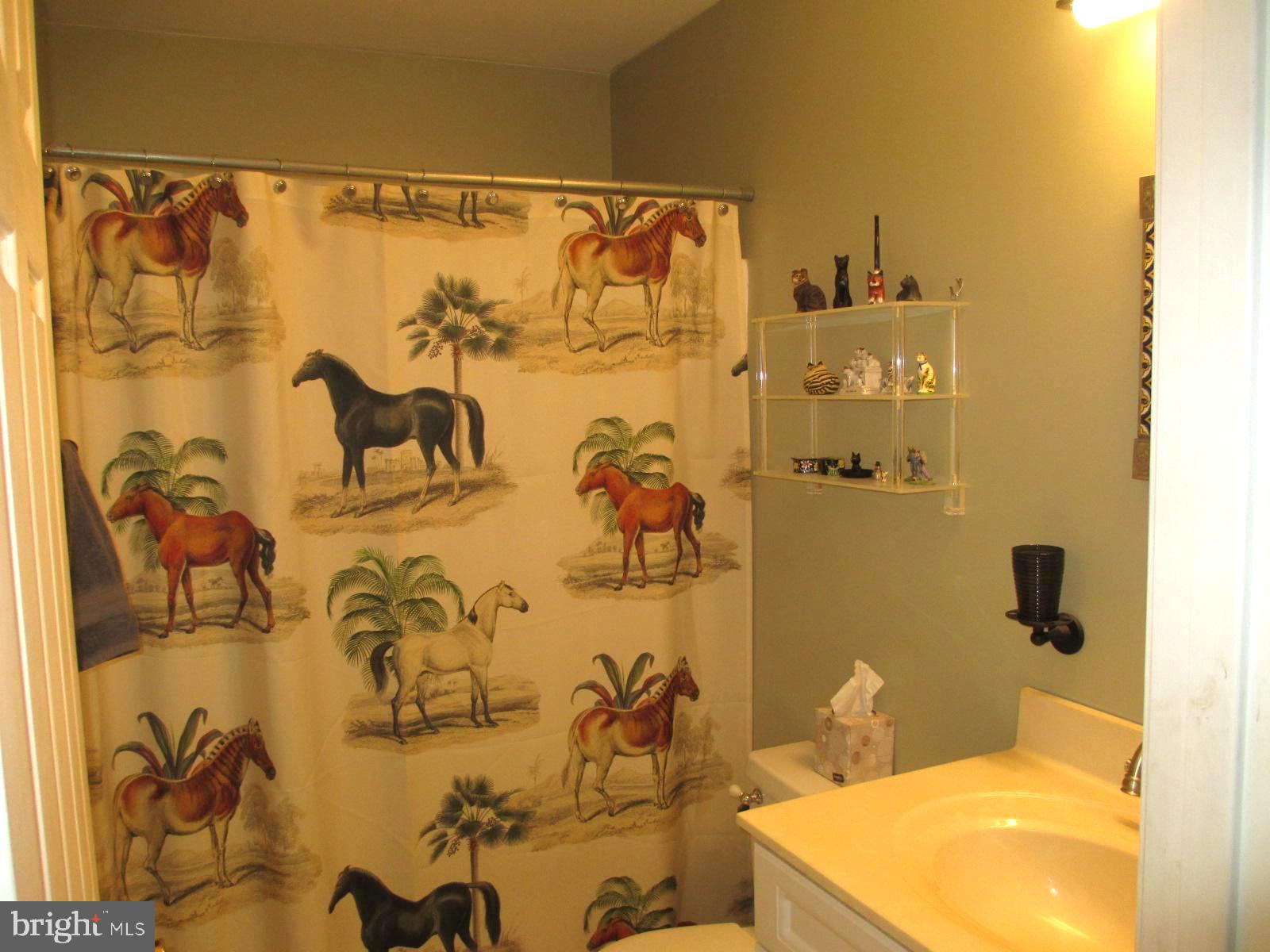 10791 Foreston Road Chestertown, MD 21620 - Photo 18 of 27 First floor bathroom