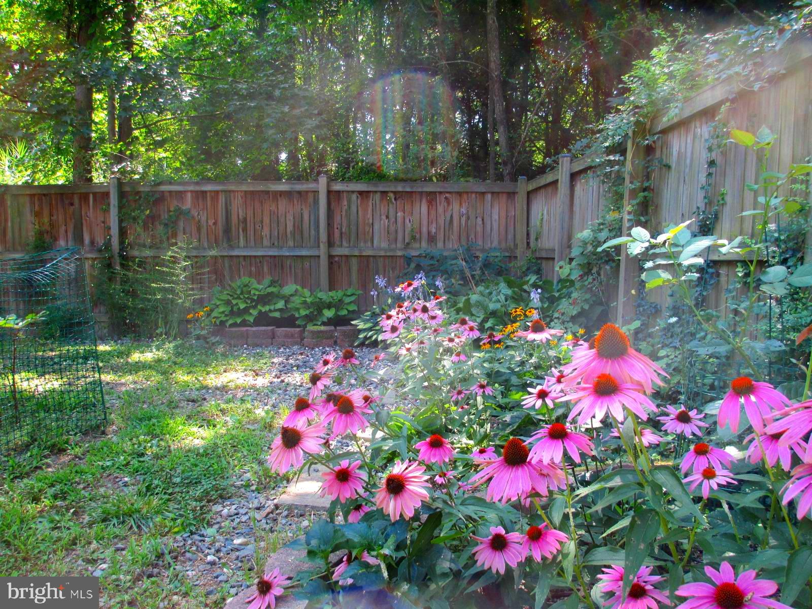 10791 Foreston Road Chestertown, MD 21620 - Photo 5 of 27 Gallery Image 5