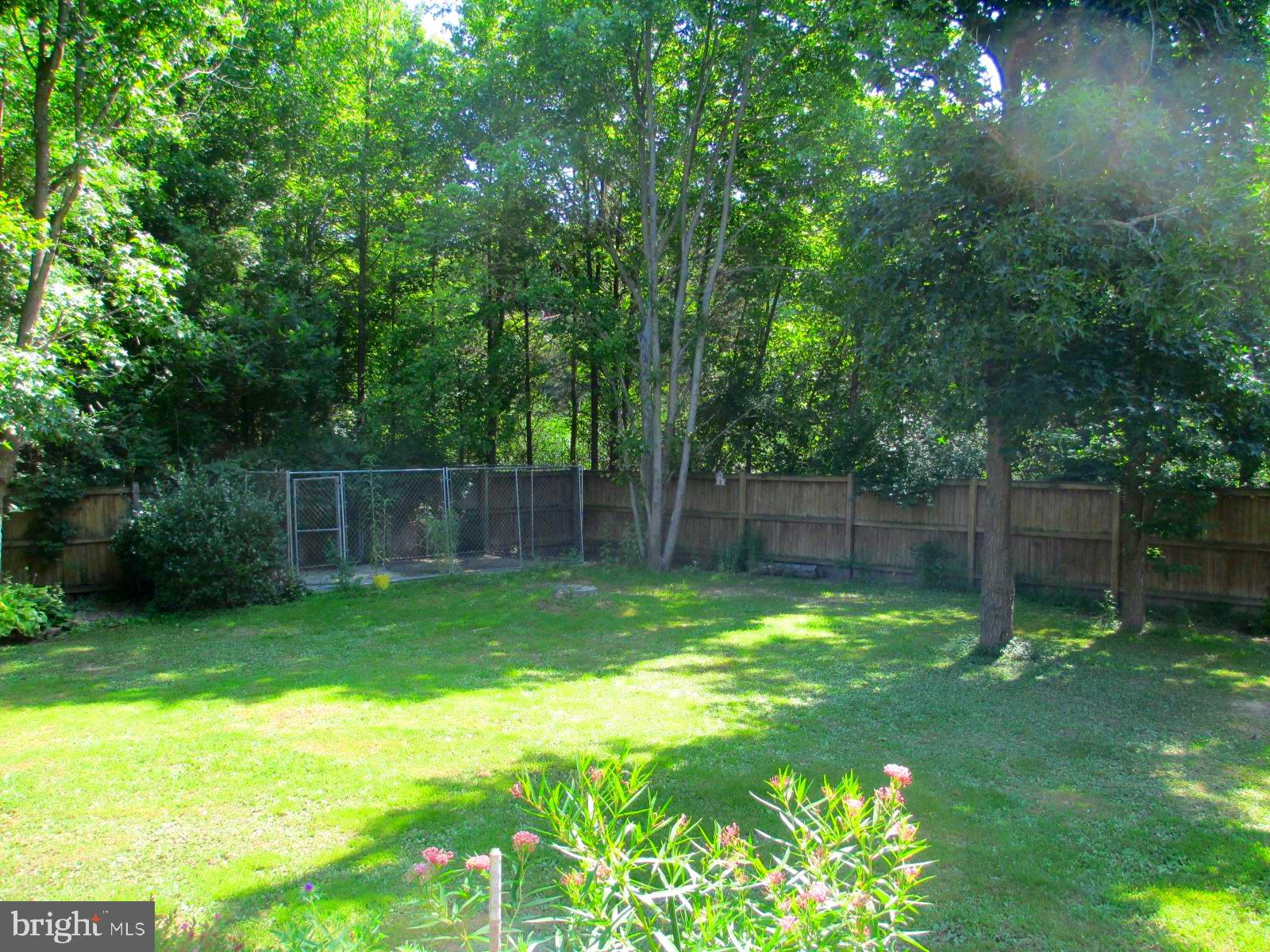 10791 Foreston Road Chestertown, MD 21620 - Photo 9 of 27 Shaded kennel