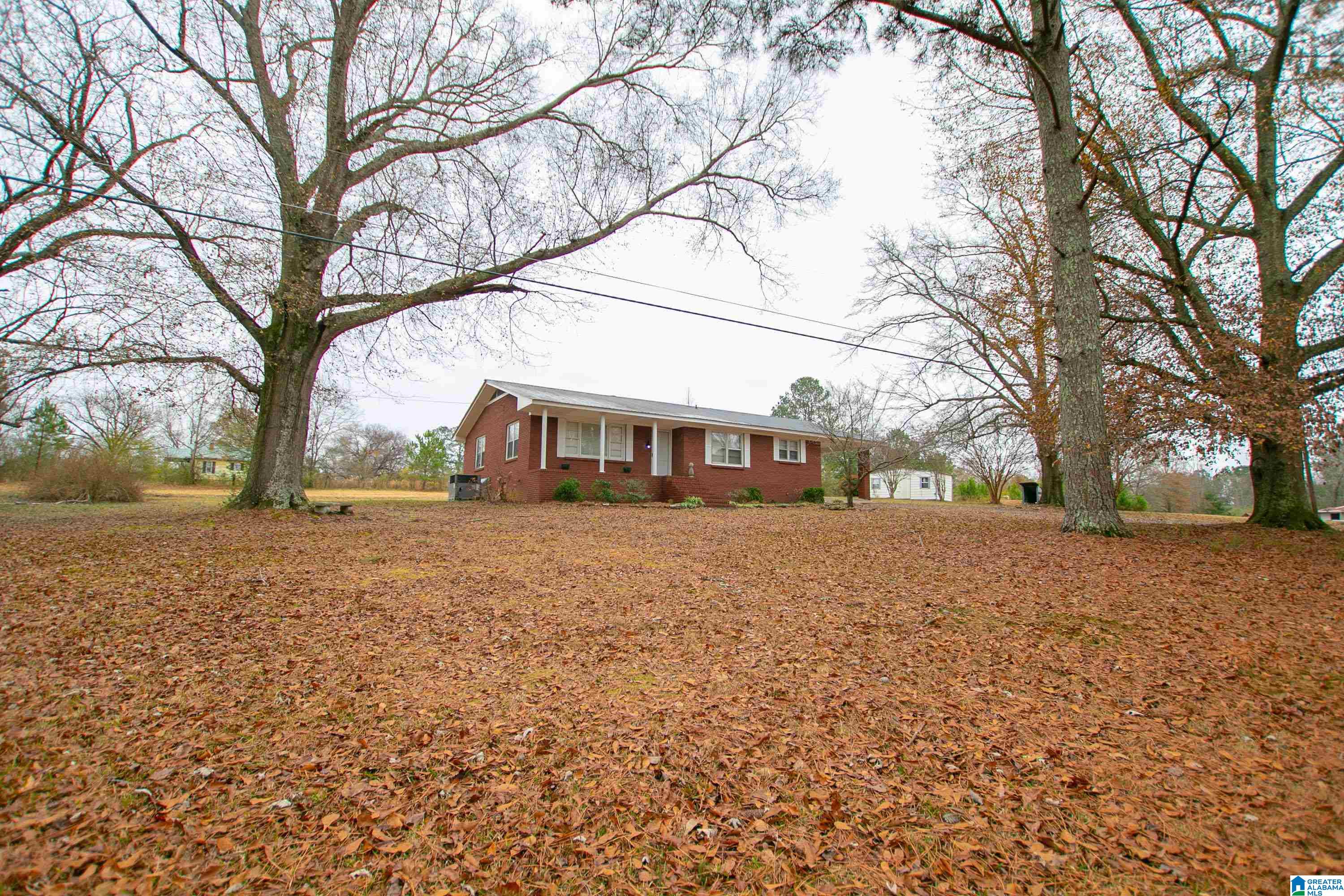 5252 Spunky Hollow Road Remlap, AL 35133 - Photo 50 of 58