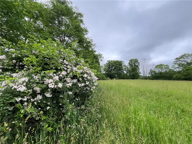 $369,900 | 326 Park Hill Road, Erin, NY 14838