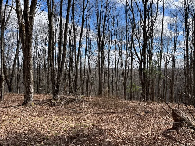 $369,900 | 326 Park Hill Road, Erin, NY 14838