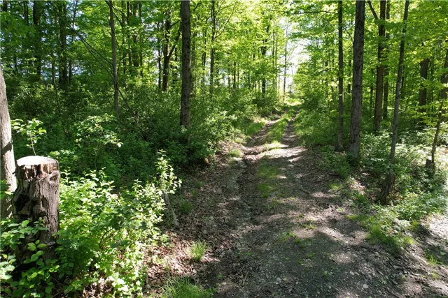 $369,900 | 326 Park Hill Road, Erin, NY 14838