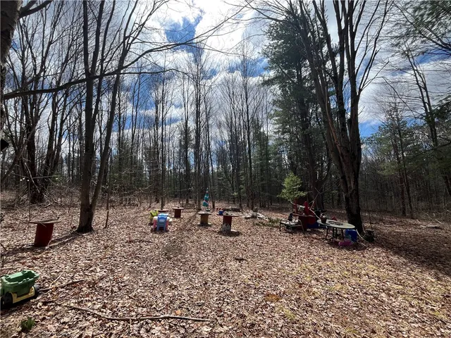 $369,900 | 326 Park Hill Road, Erin, NY 14838