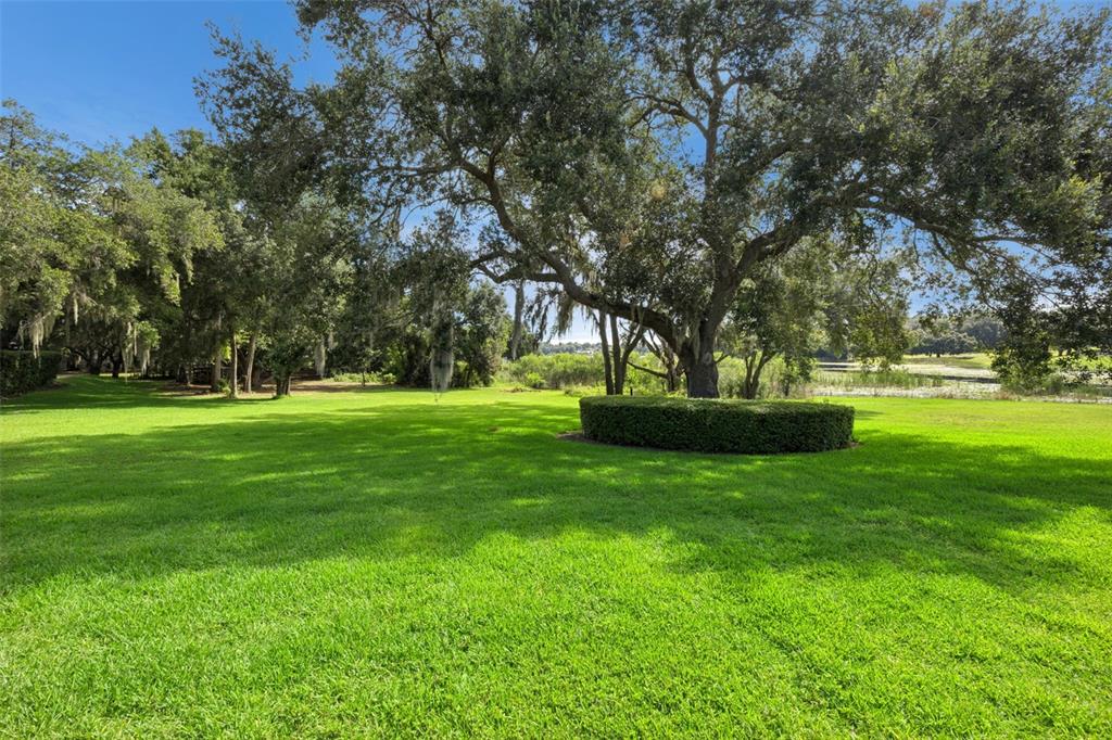 605 Old Mt Dora Road Eustis, FL 32726 - Photo 51 of 61