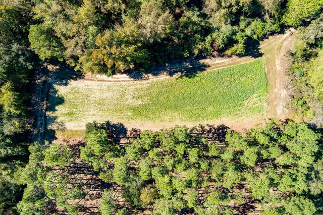 $995,000 | 244 Hodges Road, Kingstree, SC 29556