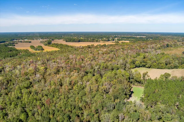 $995,000 | 244 Hodges Road, Kingstree, SC 29556