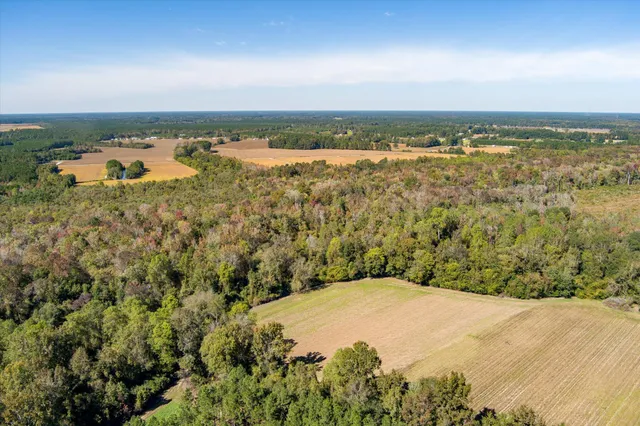 $995,000 | 244 Hodges Road, Kingstree, SC 29556