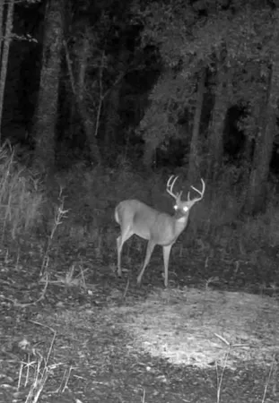 $995,000 | 244 Hodges Road, Kingstree, SC 29556