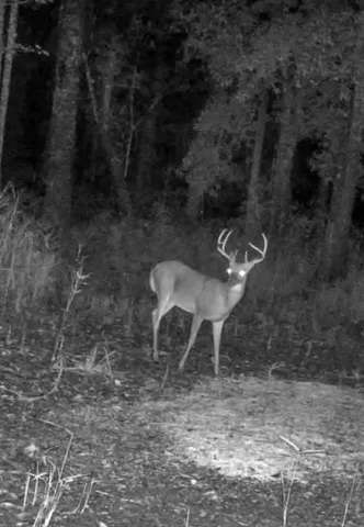 $995,000 | 244 Hodges Road, Kingstree, SC 29556