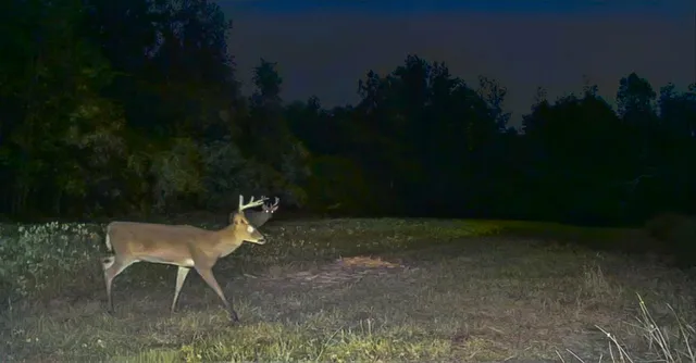 $995,000 | 244 Hodges Road, Kingstree, SC 29556