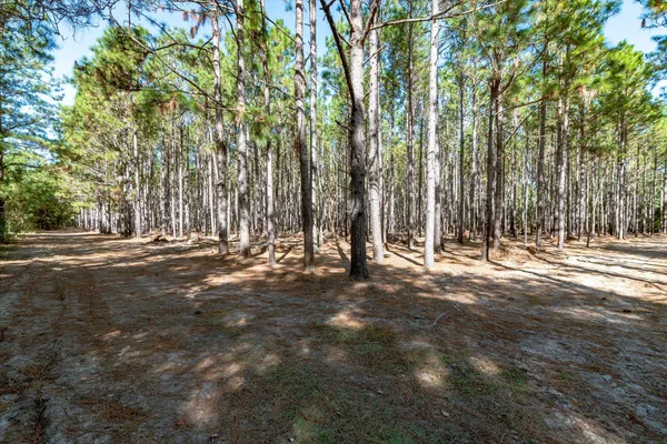 $995,000 | 244 Hodges Road, Kingstree, SC 29556