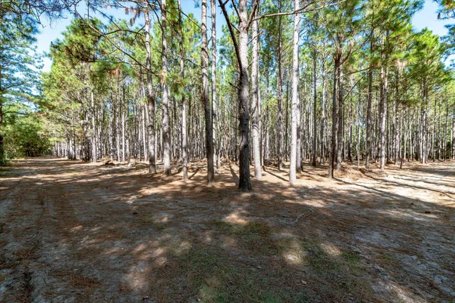 $995,000 | 244 Hodges Road, Kingstree, SC 29556