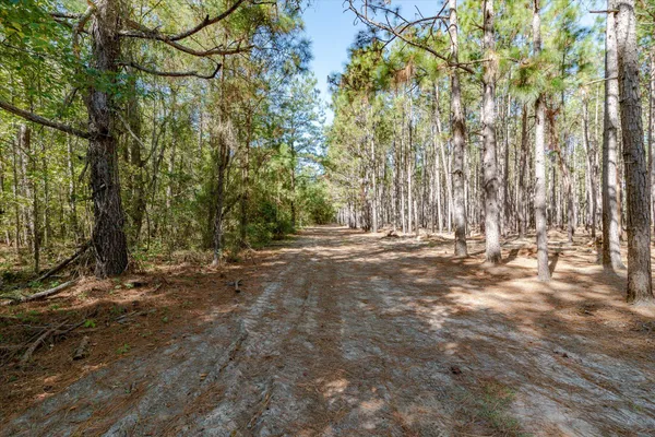 $995,000 | 244 Hodges Road, Kingstree, SC 29556