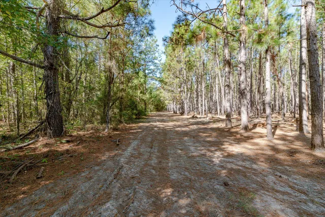 $995,000 | 244 Hodges Road, Kingstree, SC 29556