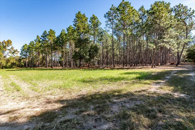 $995,000 | 244 Hodges Road, Kingstree, SC 29556