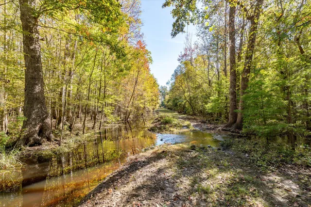 $995,000 | 244 Hodges Road, Kingstree, SC 29556