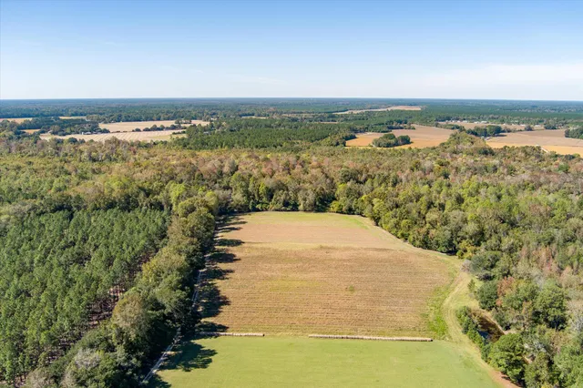 $995,000 | 244 Hodges Road, Kingstree, SC 29556