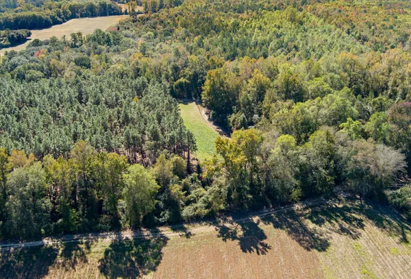 $995,000 | 244 Hodges Road, Kingstree, SC 29556