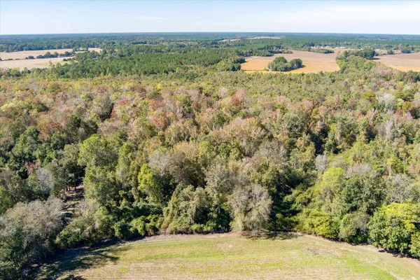 $995,000 | 244 Hodges Road, Kingstree, SC 29556