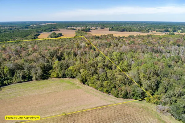 $995,000 | 244 Hodges Road, Kingstree, SC 29556