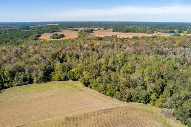 $995,000 | 244 Hodges Road, Kingstree, SC 29556