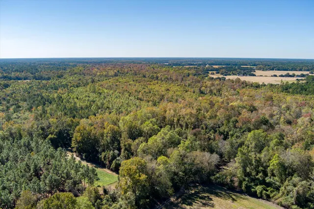 $995,000 | 244 Hodges Road, Kingstree, SC 29556