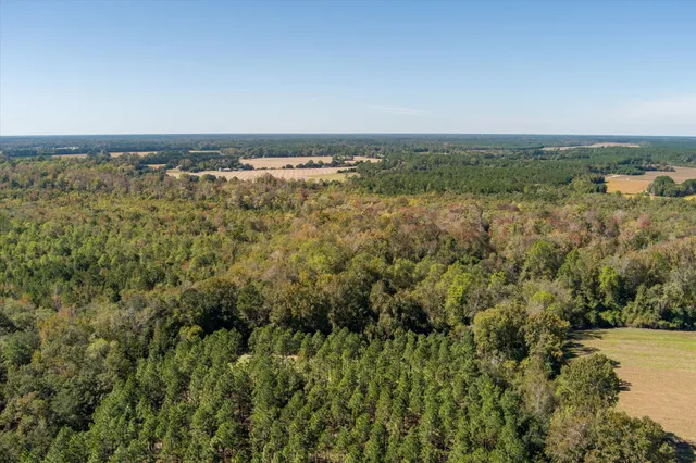 $995,000 | 244 Hodges Road, Kingstree, SC 29556