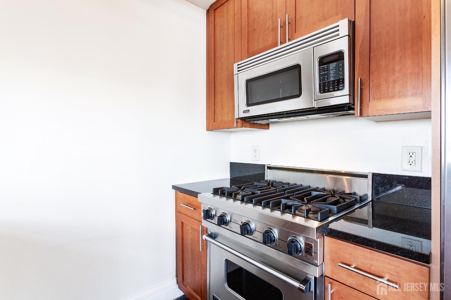 1 Spring Street, Unit 2505 New Brunswick, NJ 08901 - Photo 12 of 36 Gallery Image 12