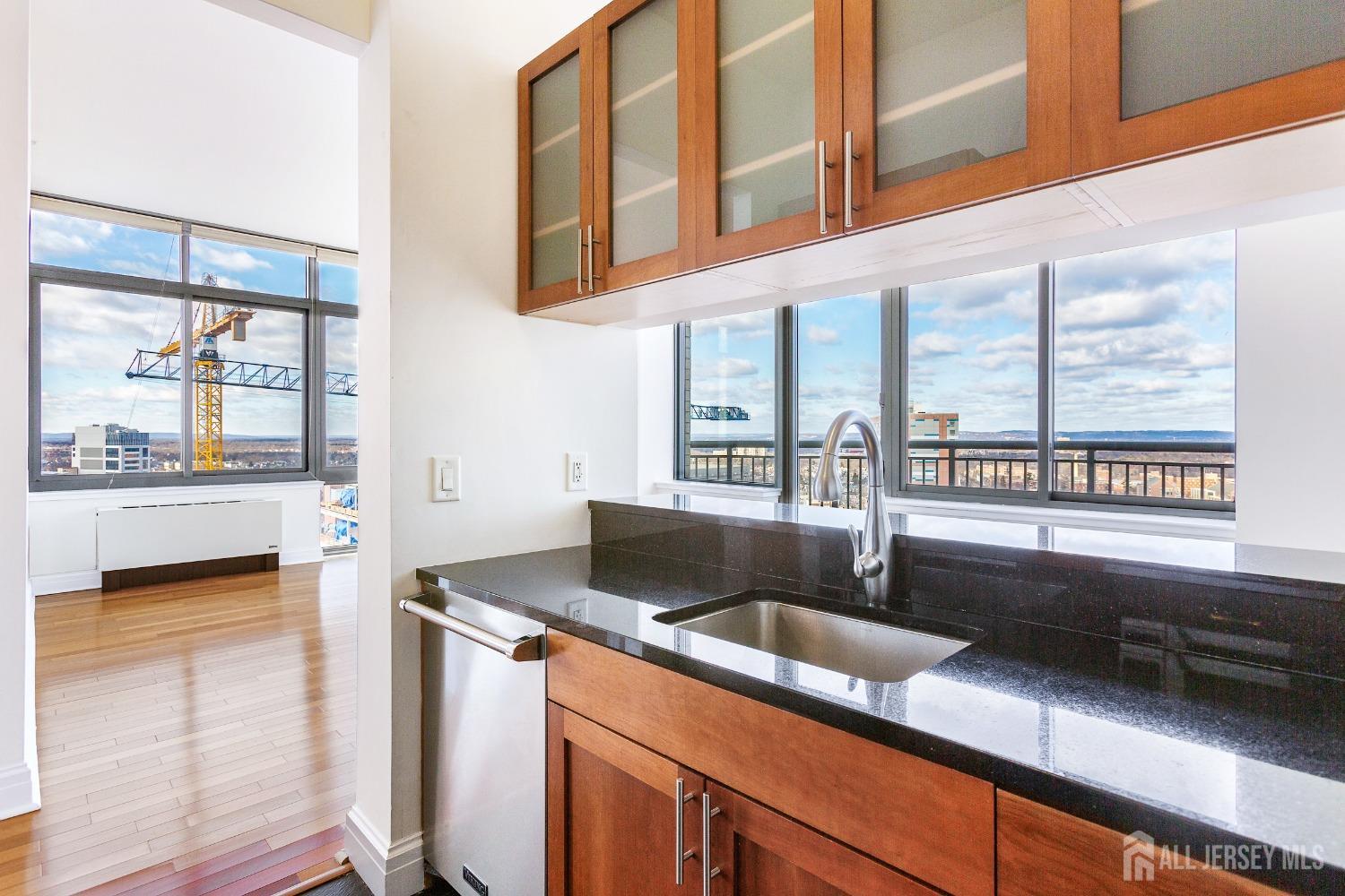1 Spring Street, Unit 2505 New Brunswick, NJ 08901 - Photo 13 of 36 Gallery Image 13
