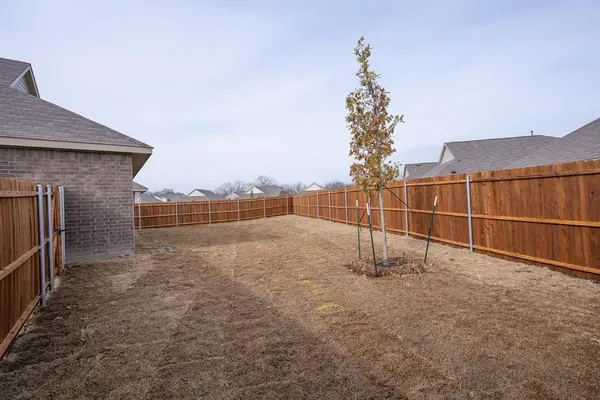 a view of a backyard