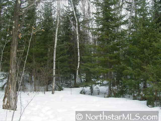 6892 South Cty Road Lake Nebagamon, WI 54849 - Photo 8 of 9