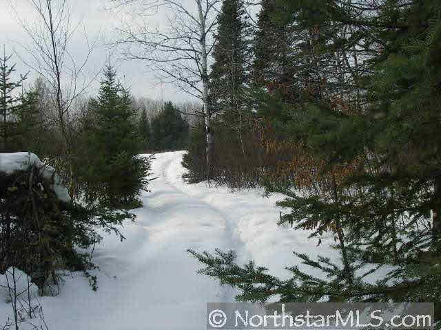 6892 South Cty Road Lake Nebagamon, WI 54849 - Photo 9 of 9