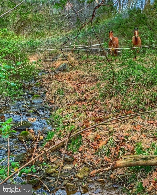 7443 Keith Road Warrenton, VA 20186 - Photo 31 of 44 Running creek in back of property