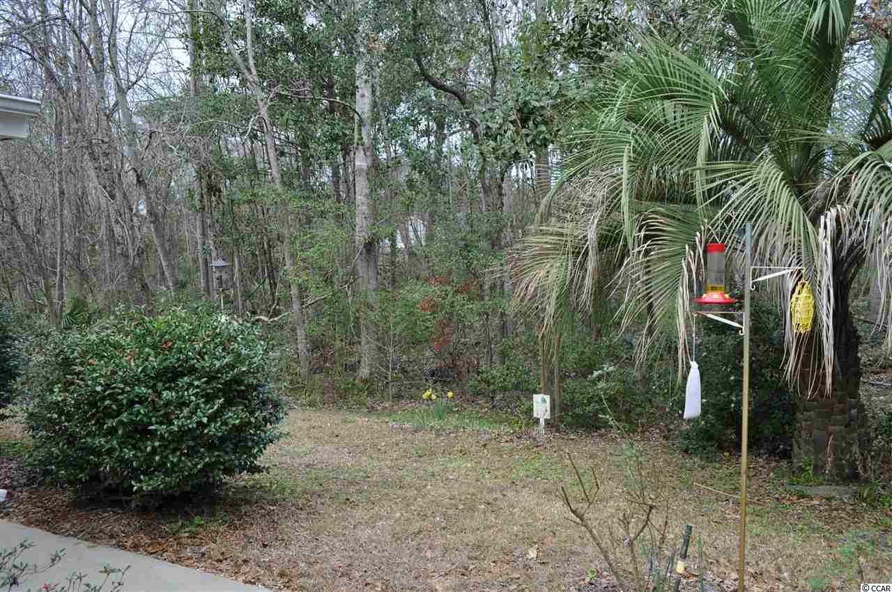 52 Reef Run Road Pawleys Island, SC 29585 - Photo 17 of 19 Gallery Image 17