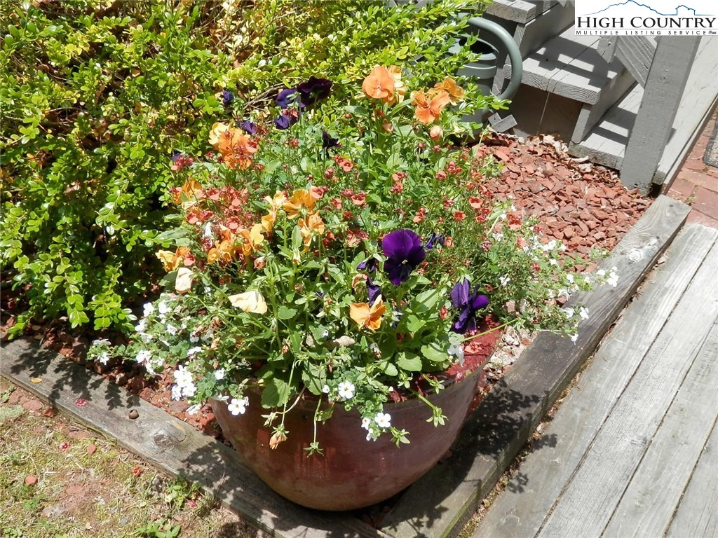 328 Flat Rock Acres Road Crumpler, NC 28617 - Photo 22 of 23 Gallery Image 22