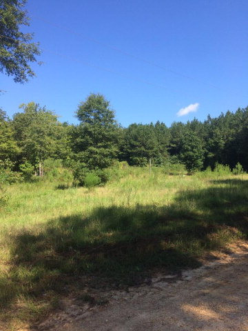 920 Proby Road McCall Creek, MS 39647 - Photo 1 of 1 Main View