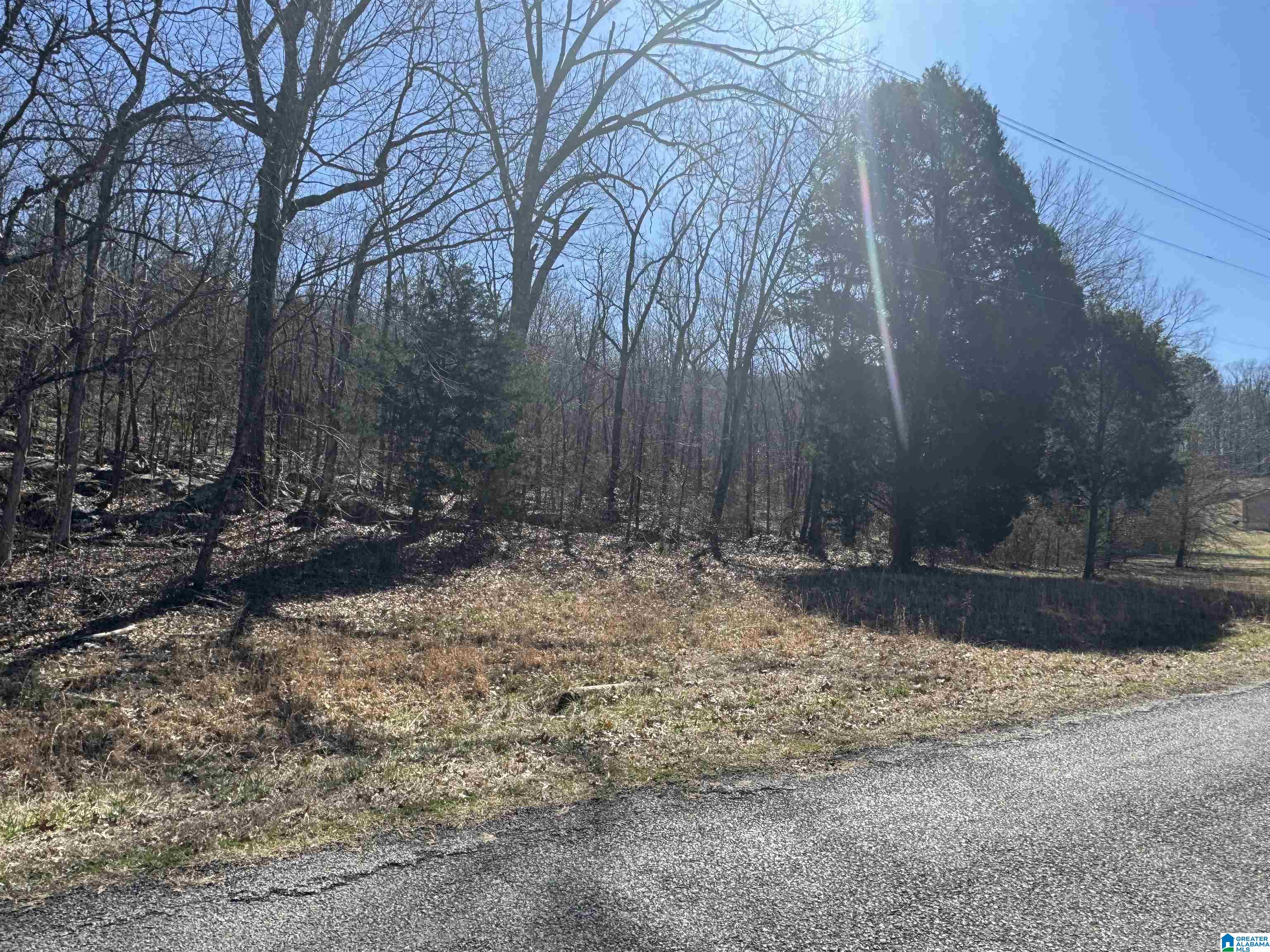 0 Rocky Hollow Road, Unit 3 00 Guntersville, AL 35976 - Photo 7 of 23