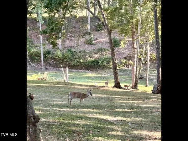 $599,900 | 630 Ancient Oaks Court, White Pine, TN 37890