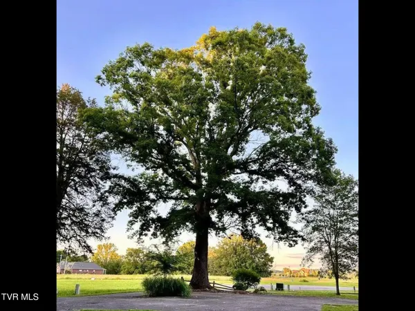 $599,900 | 630 Ancient Oaks Court, White Pine, TN 37890