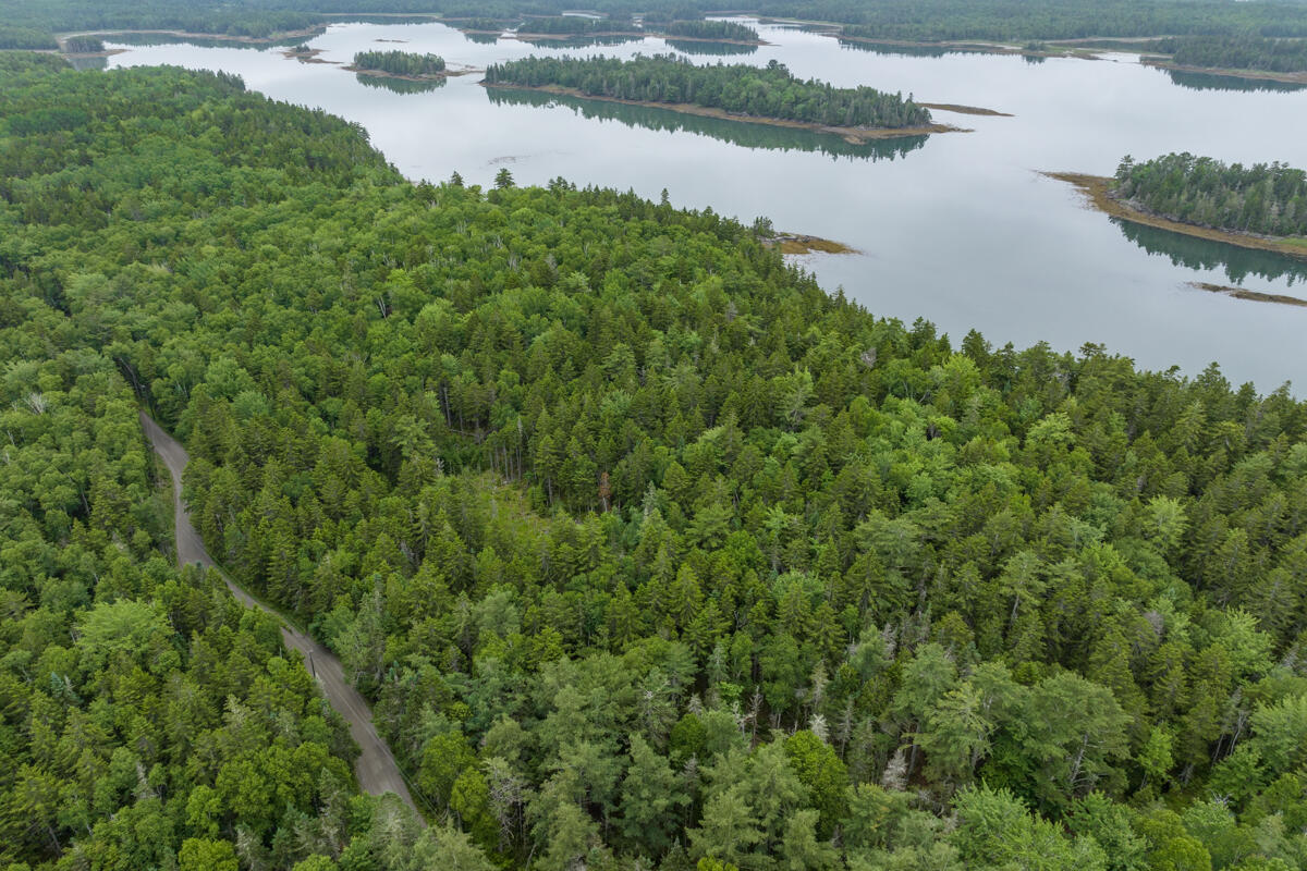 Lot 27 Coffins Neck Road Lubec, ME 04652 - Photo 27 of 27 16-Lot 27 Coffins Neck Road LoRes-DTP