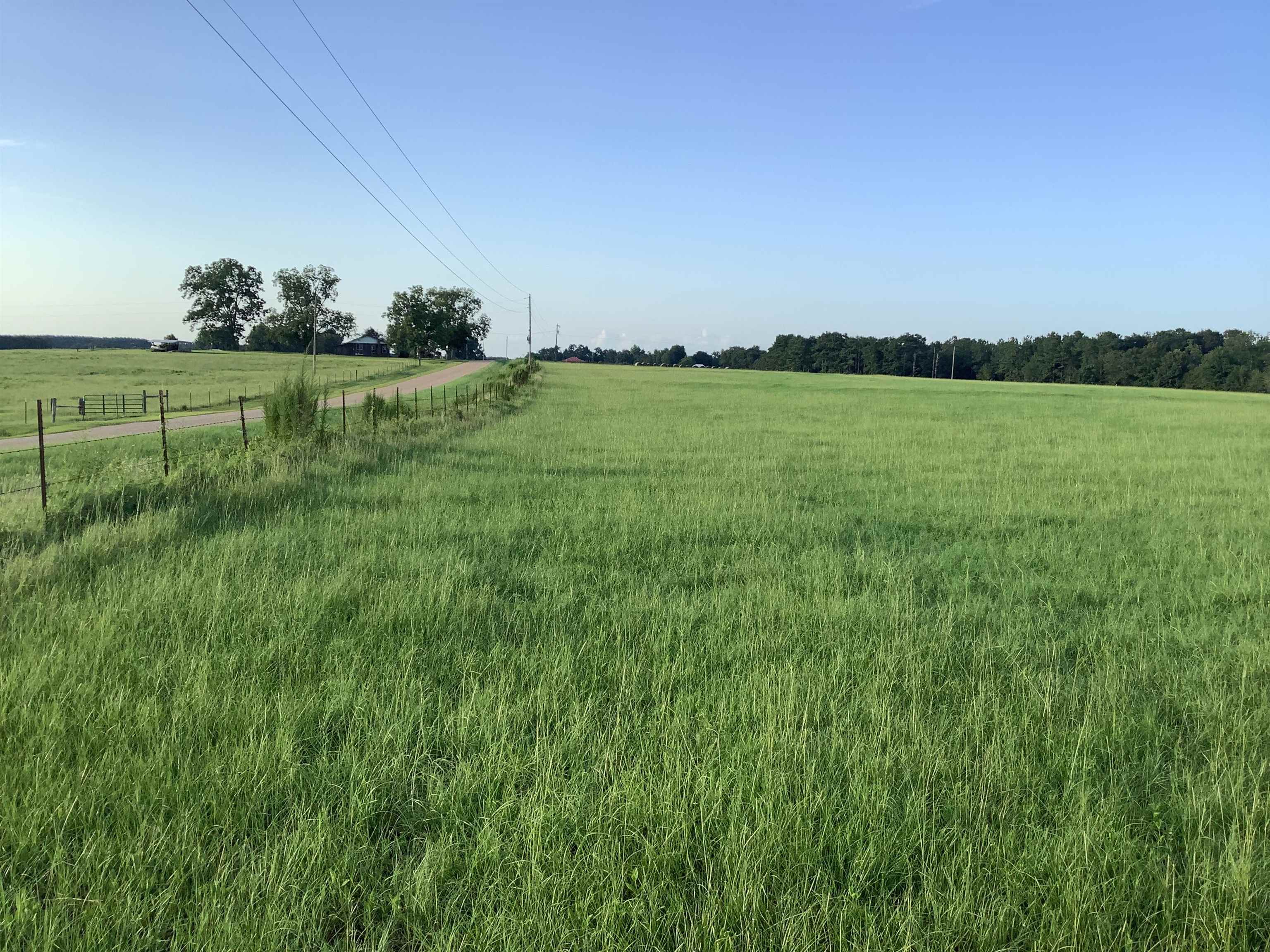 27770 Babbie Road Andalusia, AL 36421 - Photo 8 of 31 Gallery Image 8