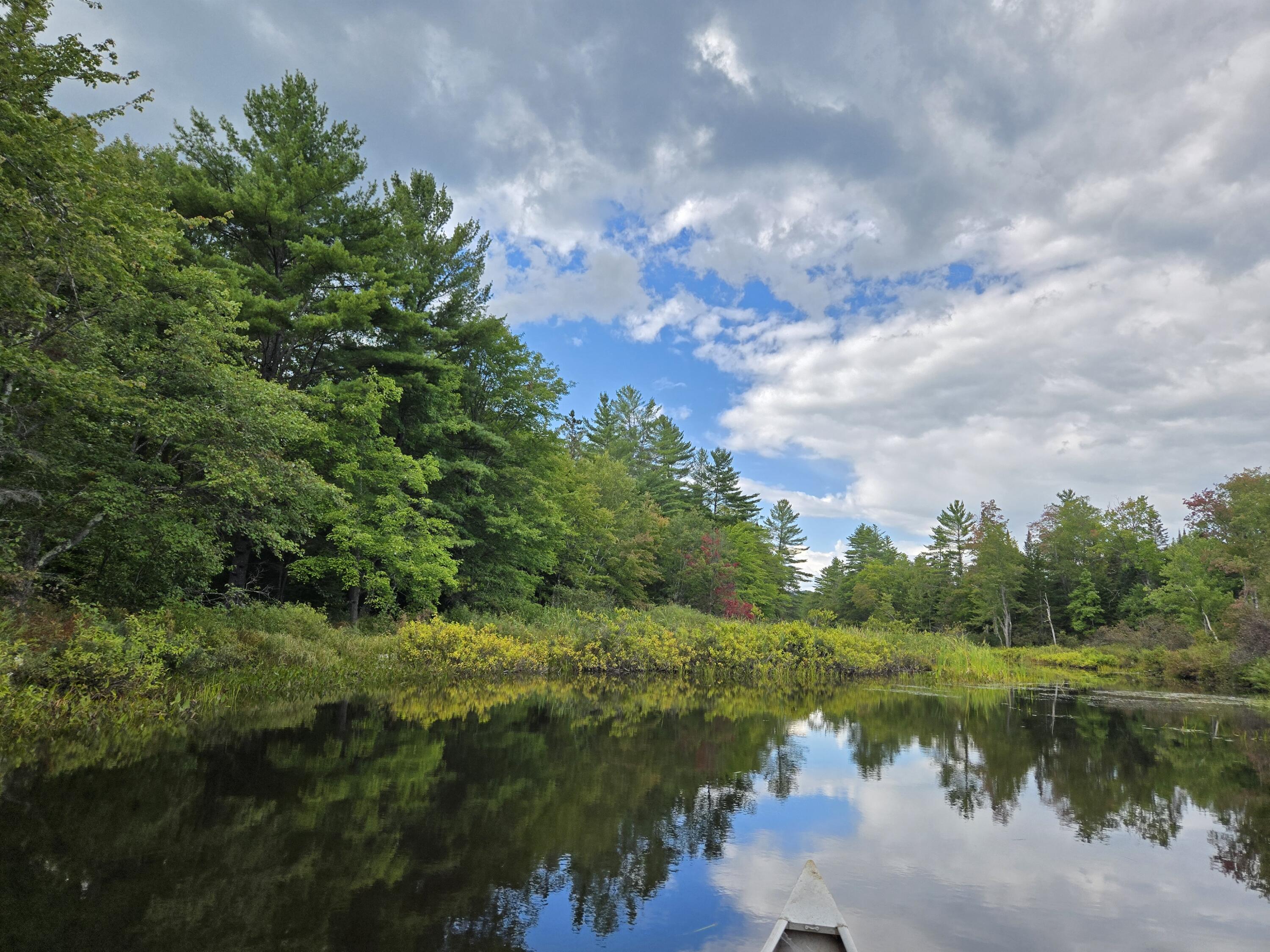 117 Gammon Road Sumner, ME 04292 - Photo 19 of 49 20250914_152833
