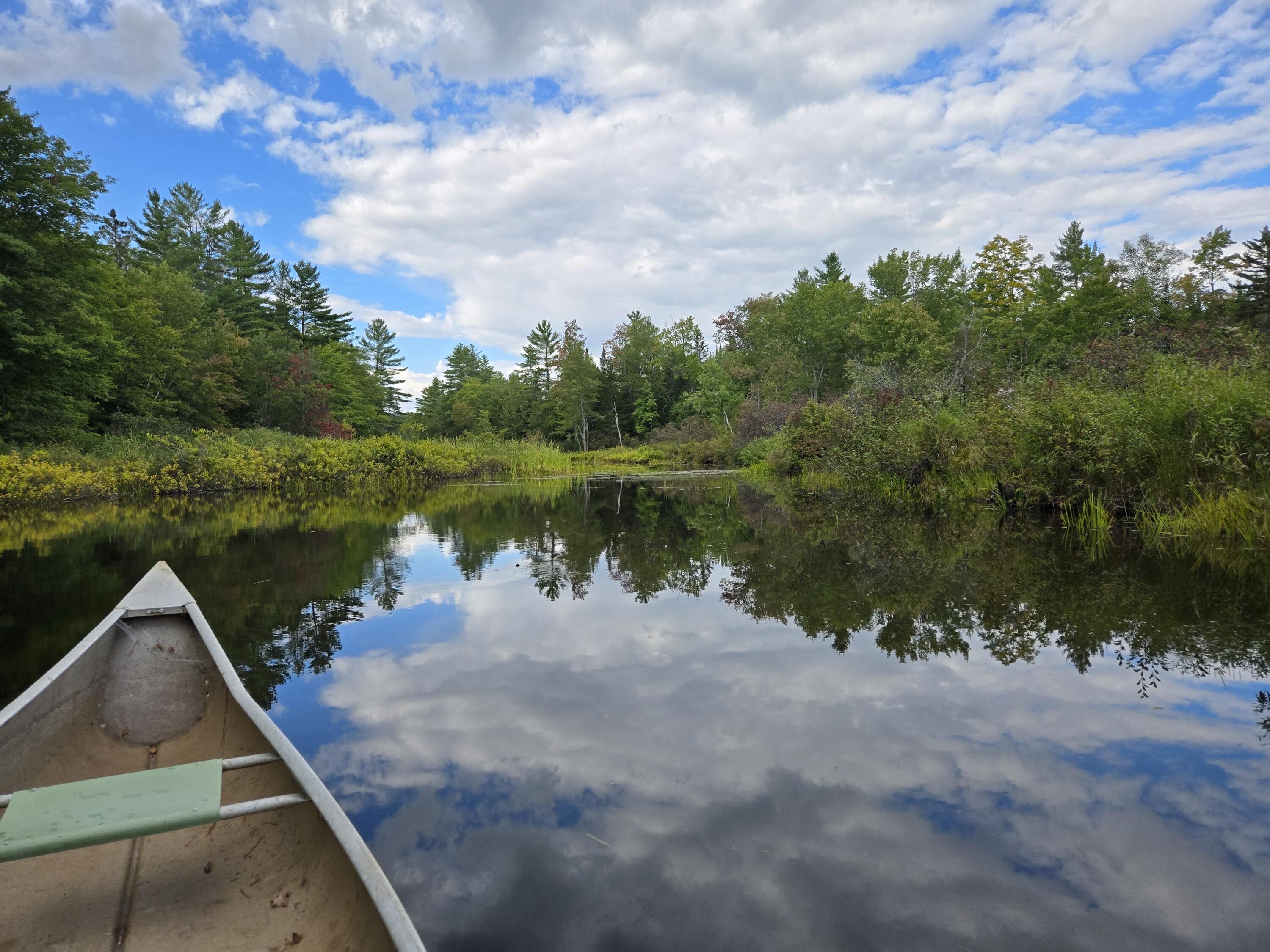 117 Gammon Road Sumner, ME 04292 - Photo 20 of 49 20250914_152829