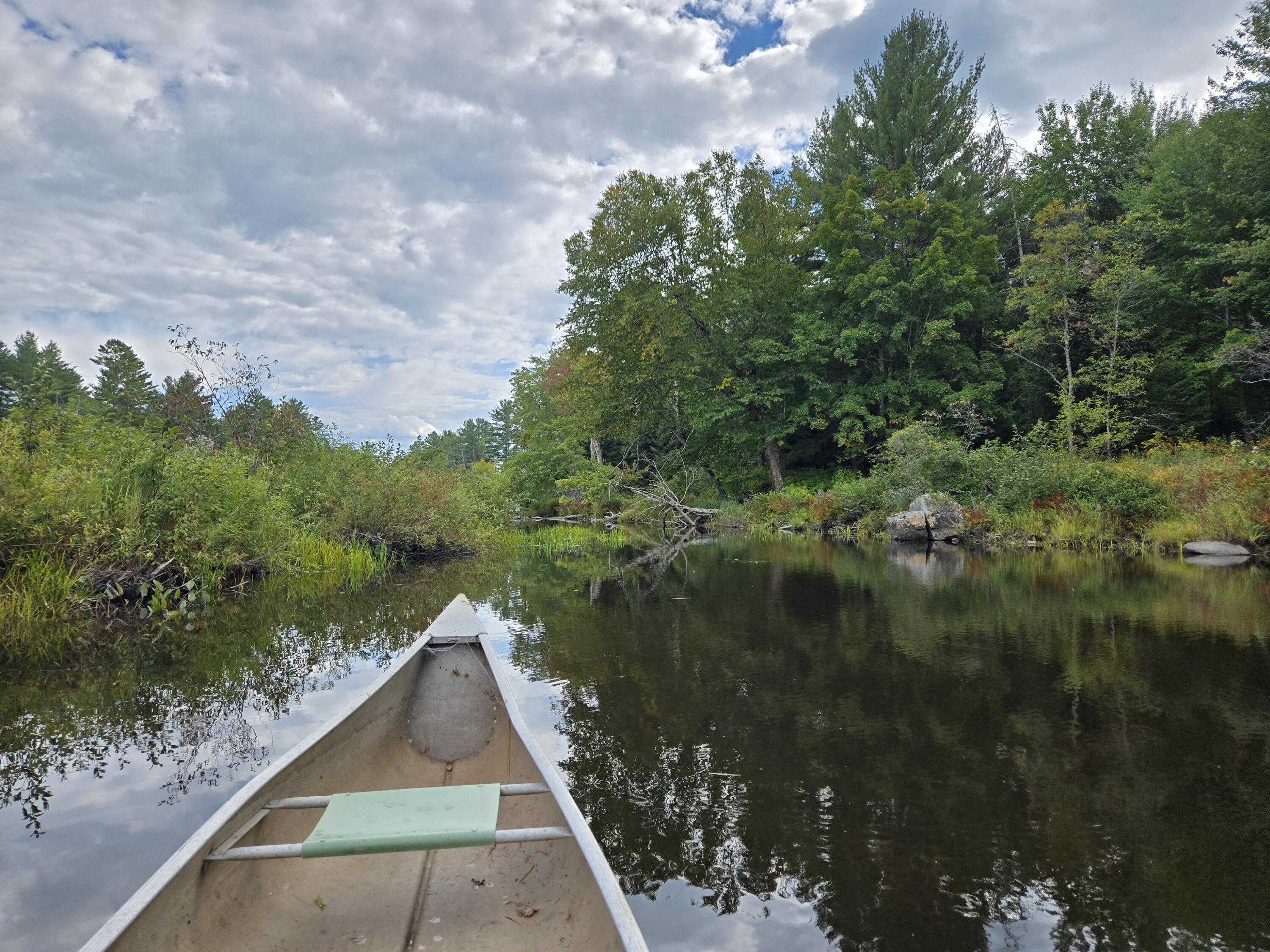 117 Gammon Road Sumner, ME 04292 - Photo 23 of 49 20250914_152526