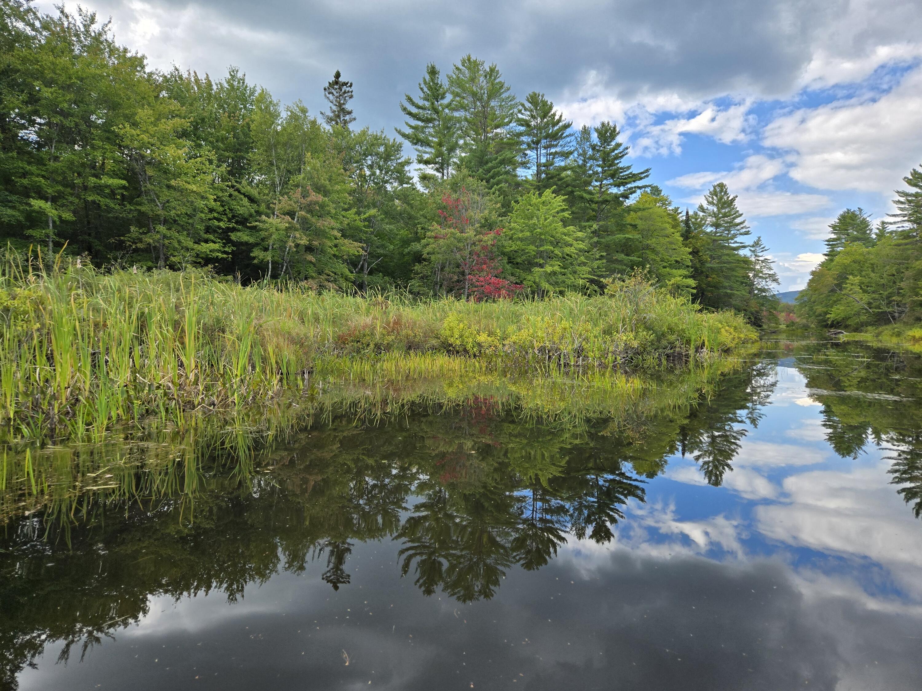 117 Gammon Road Sumner, ME 04292 - Photo 25 of 49 20250914_152332