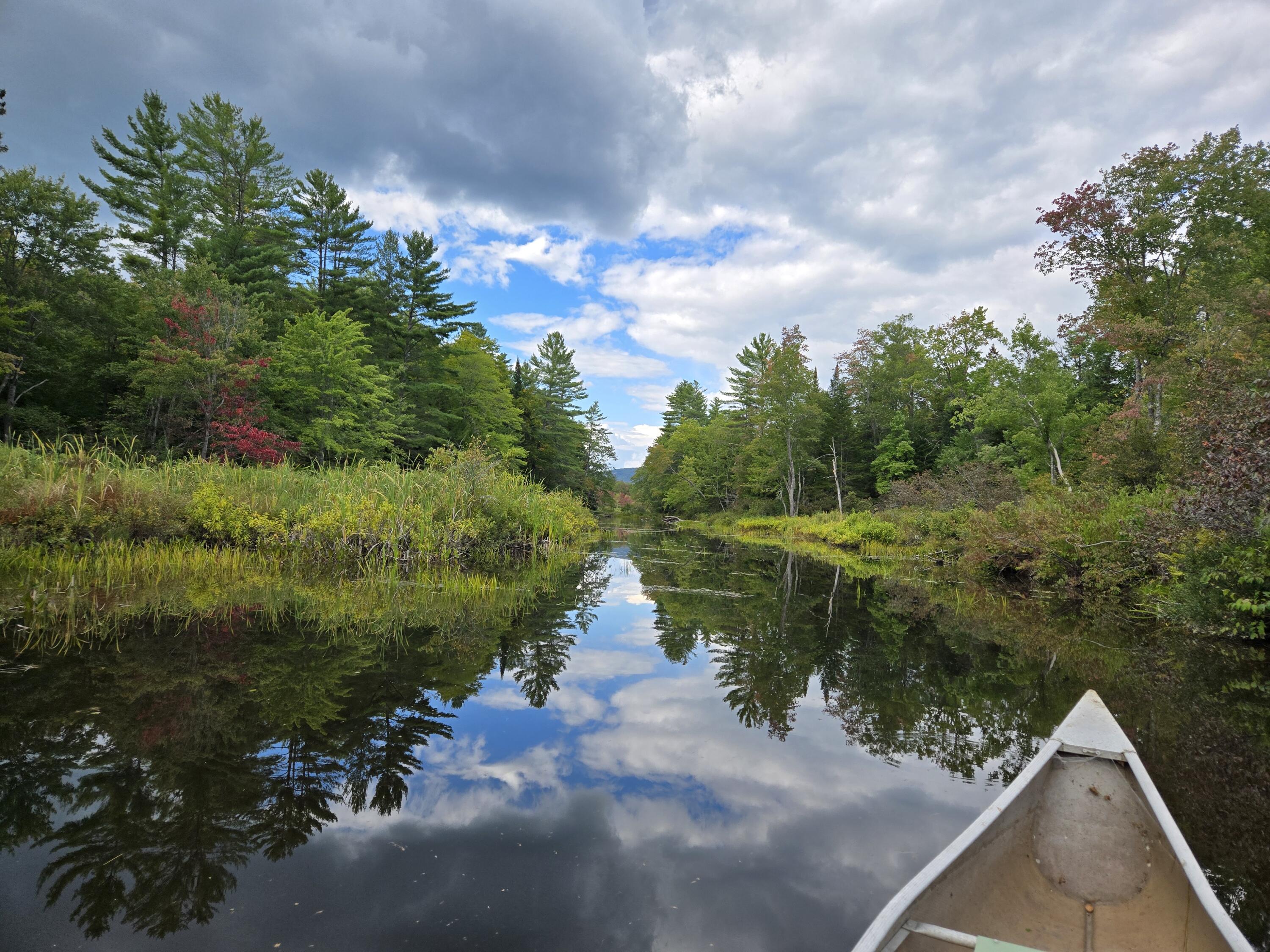117 Gammon Road Sumner, ME 04292 - Photo 27 of 49 20250914_152328