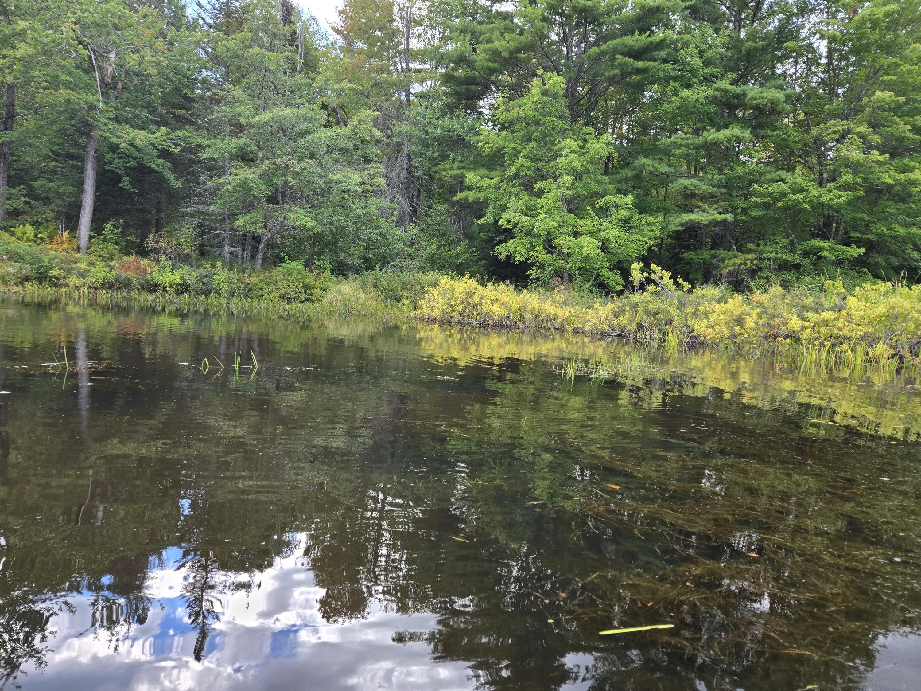 117 Gammon Road Sumner, ME 04292 - Photo 28 of 49 20250914_152235