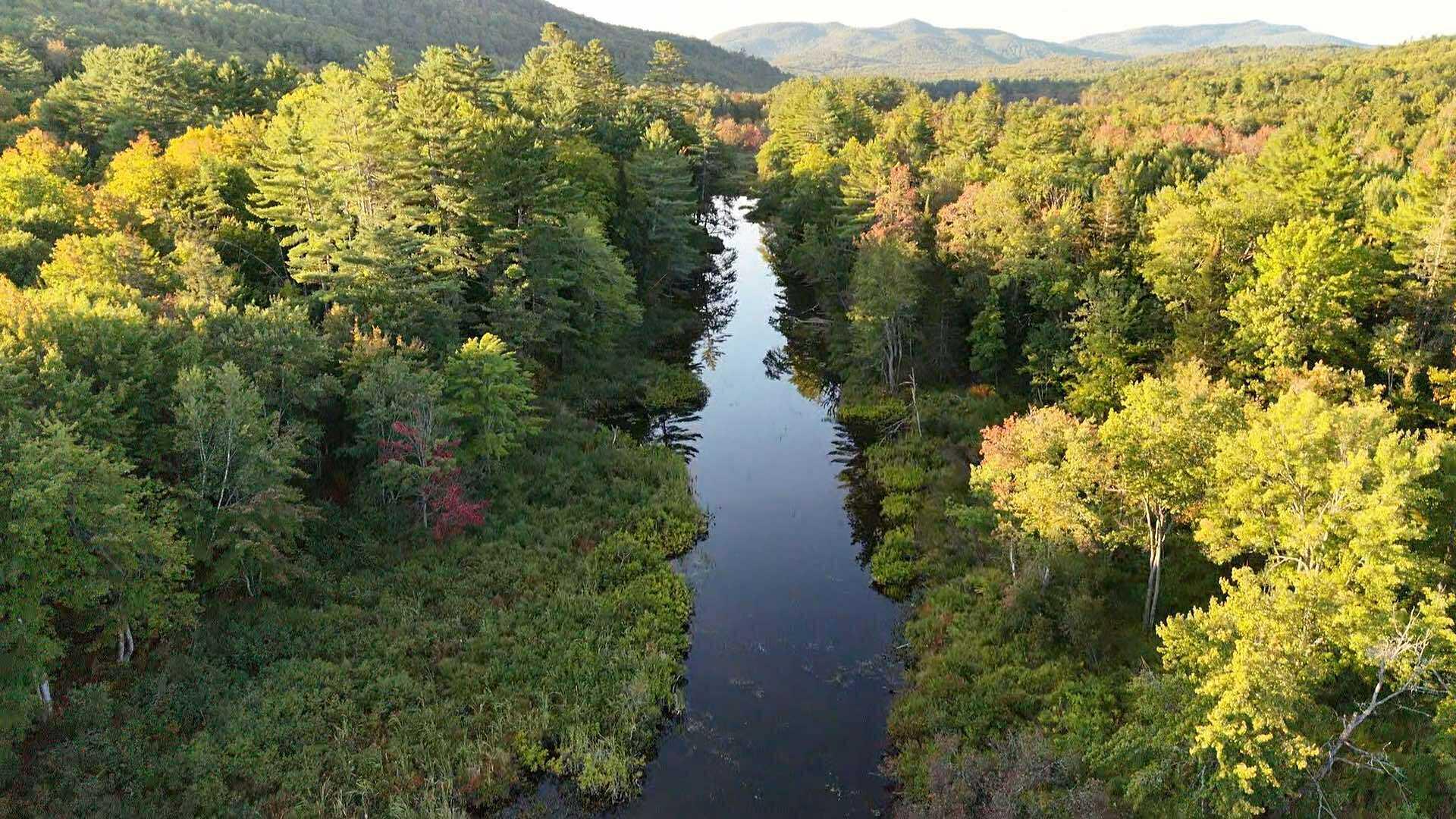 117 Gammon Road Sumner, ME 04292 - Photo 30 of 49 546278006_713588805059897_40222555905649